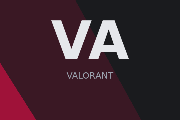 Cover VALORANT