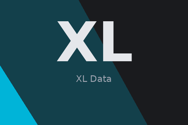 Cover XL Data